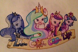 Size: 2304x1536 | Tagged: safe, artist:dreamyeevee, princess cadance, princess celestia, princess luna, twilight sparkle, dog, g4, alicorn tetrarchy, fangs, simple background, species swap, sunmutt, traditional art, twilight barkle, twilight sparkle (alicorn)