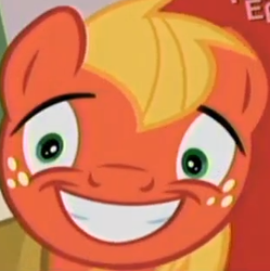 Size: 309x310 | Tagged: safe, screencap, big macintosh, earth pony, pony, g4, pinkie apple pie, cropped, faic, male, rapeface, solo, stallion