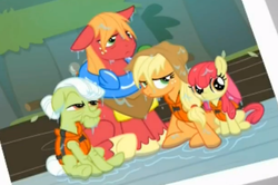 Size: 694x462 | Tagged: safe, screencap, apple bloom, applejack, big macintosh, granny smith, earth pony, pony, g4, pinkie apple pie, male, stallion, wet mane