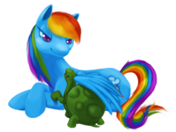 Size: 1280x964 | Tagged: safe, artist:bloominglove, rainbow dash, tank, pegasus, pony, tortoise, g4, female, mare, pet, simple background, transparent background