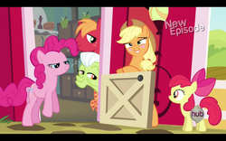 Size: 1680x1050 | Tagged: safe, screencap, apple bloom, applejack, big macintosh, granny smith, pinkie pie, earth pony, pony, g4, pinkie apple pie, black bars, blushing, censored, hub logo, letterboxing, male, out of context, stallion