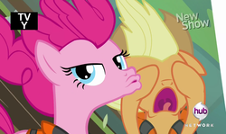 Size: 1294x772 | Tagged: safe, screencap, applejack, pinkie pie, pony, g4, pinkie apple pie, duckface, selfie