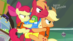 Size: 1920x1080 | Tagged: safe, apple bloom, applejack, big macintosh, earth pony, pony, g4, pinkie apple pie, male, stallion