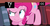 Size: 1151x608 | Tagged: safe, screencap, pinkie pie, earth pony, pony, g4, my little pony: friendship is magic, pinkie apple pie, book, bookshelf, female, mare, meme, smiling, smirk, solo, tv rating, tv-y, youtube caption