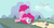 Size: 1152x608 | Tagged: safe, screencap, pinkie pie, g4, my little pony: friendship is magic, pinkie apple pie, female, meme, solo, youtube caption