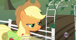 Size: 1153x608 | Tagged: safe, screencap, applejack, g4, my little pony: friendship is magic, pinkie apple pie, female, hub logo, lidded eyes, meme, smiling, solo, youtube caption