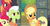 Size: 1153x606 | Tagged: safe, screencap, apple bloom, applejack, big macintosh, granny smith, earth pony, pony, g4, my little pony: friendship is magic, pinkie apple pie, male, meme, stallion, youtube caption