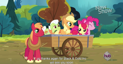 Size: 1152x605 | Tagged: safe, screencap, apple bloom, applejack, big macintosh, granny smith, pinkie pie, earth pony, pony, g4, pinkie apple pie, male, meme, stallion, youtube caption