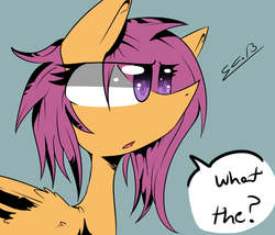 Size: 5484x4685 | Tagged: safe, artist:scootaloocuteness, scootaloo, g4, absurd resolution, female, solo, wet mane