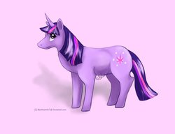 Size: 1019x784 | Tagged: safe, artist:blueheart417, twilight sparkle, g4, female, solo