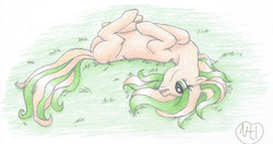 Size: 1603x844 | Tagged: safe, artist:nimthedragon, oc, oc only, blank flank, grass, horses doing horse things, on back, open mouth, rolling, smiling, solo, traditional art