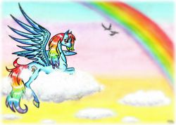 Size: 2017x1440 | Tagged: safe, artist:sapphireunicorn, rainbow dash, g4, cloud, cloudy, female, rainbow, solo, traditional art