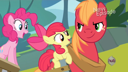 Size: 1440x810 | Tagged: safe, screencap, apple bloom, big macintosh, pinkie pie, earth pony, pony, g4, my little pony: friendship is magic, pinkie apple pie, eyebrows, male, stallion