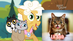 Size: 1440x810 | Tagged: safe, edit, edited screencap, screencap, goldie delicious, cat, earth pony, pony, g4, pinkie apple pie, comparison, derp, female, goldie delicious' cats, irl cat, lil bub, mare, open mouth, raised hoof, saddle bag, tongue out