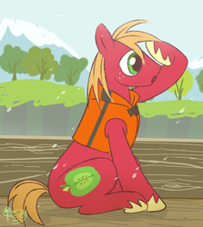 Size: 536x601 | Tagged: safe, artist:nmnkgskds, big macintosh, earth pony, pony, g4, lifejacket, male, pixiv, solo, stallion