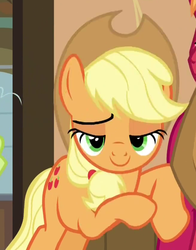 Size: 655x834 | Tagged: safe, screencap, applejack, earth pony, pony, g4, pinkie apple pie, lidded eyes, looking at you, out of context
