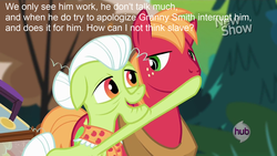 Size: 1920x1080 | Tagged: safe, big macintosh, granny smith, earth pony, pony, g4, pinkie apple pie, feminism, insane troll logic, male, misandry, op is trying to start shit, slave, slavery, stallion, stallionism, theory, unfortunate implications