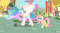 Size: 1054x592 | Tagged: safe, screencap, fluttershy, philomena, princess celestia, alicorn, bird, pegasus, phoenix, pony, a bird in the hoof, g4, ash, confused, duo, ethereal mane, female, mare, spread wings, wings, worried