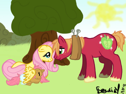 Size: 640x480 | Tagged: safe, artist:brownie-12, big macintosh, fluttershy, oc, earth pony, pony, g4, male, offspring, parent:big macintosh, parent:fluttershy, parents:fluttermac, ship:fluttermac, shipping, stallion, straight