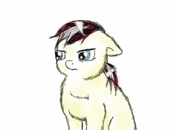 Size: 1024x768 | Tagged: safe, artist:waggytail, oc, oc only, oc:waggyfluff, oc:waggytail, fluffy pony, are you kidding me, fluffy pony original art, sketch, solo