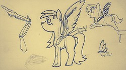 Size: 957x530 | Tagged: safe, artist:fluffsplosion, fluffy pony, pegasus, pony, anatomy, comparison, wings