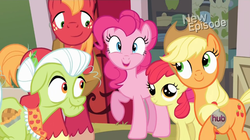 Size: 853x478 | Tagged: safe, screencap, apple bloom, applejack, big macintosh, granny smith, pinkie pie, earth pony, pony, g4, pinkie apple pie, male, stallion