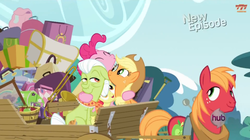 Size: 853x478 | Tagged: safe, screencap, apple bloom, applejack, big macintosh, granny smith, pinkie pie, earth pony, pony, g4, pinkie apple pie, male, stallion