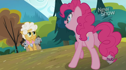 Size: 853x478 | Tagged: safe, screencap, goldie delicious, pinkie pie, pony, g4, pinkie apple pie, butt, female, mare, plot