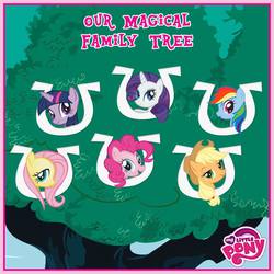 Size: 800x800 | Tagged: safe, applejack, fluttershy, pinkie pie, rainbow dash, rarity, twilight sparkle, g4, mane six