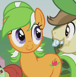 Size: 593x599 | Tagged: safe, screencap, apple leaves, candy apples, hayseed turnip truck, earth pony, pony, apple family reunion, g4, apple family member, background pony, bucktooth, cropped, female, mare, solo focus