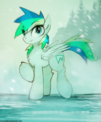 Size: 729x877 | Tagged: safe, artist:foxinshadow, oc, oc only, oc:frozen winter, pegasus, pony, solo