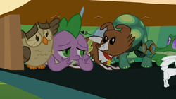 Size: 1054x592 | Tagged: safe, screencap, angel bunny, gummy, owlowiscious, spike, tank, winona, g4, just for sidekicks