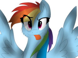 Size: 800x600 | Tagged: safe, artist:notochan, rainbow dash, g4, female, solo, tongue out