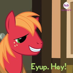 Size: 640x640 | Tagged: safe, big macintosh, earth pony, pony, g4, official, male, solo, stallion, the hub