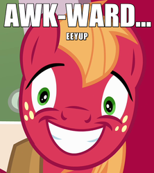 Size: 640x720 | Tagged: safe, big macintosh, earth pony, pony, g4, pinkie apple pie, awkward, caption, grin, image macro, male, reaction image, solo, stallion