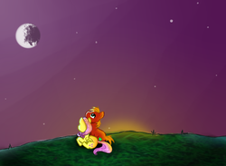 Size: 1500x1100 | Tagged: dead source, safe, artist:takpony, big macintosh, fluttershy, earth pony, pony, g4, back, duo, male, night, ship:fluttermac, shipping, stallion, straight