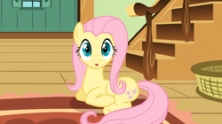 Size: 1054x591 | Tagged: safe, screencap, fluttershy, a bird in the hoof, g4, cute, female, solo