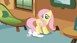 Size: 1054x592 | Tagged: safe, screencap, angel bunny, fluttershy, pegasus, pony, rabbit, a bird in the hoof, g4, season 1, animal