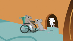Size: 1054x592 | Tagged: safe, screencap, mr. mousey, mouse, a bird in the hoof, g4, bandaged leg, family, trio, wheelchair