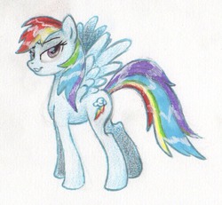 Size: 564x522 | Tagged: safe, artist:benrusk, rainbow dash, g4, female, solo, traditional art