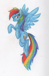 Size: 553x861 | Tagged: safe, artist:benrusk, rainbow dash, g4, female, solo, traditional art