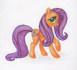 Size: 665x605 | Tagged: safe, artist:benrusk, fluttershy, g4, female, solo, traditional art