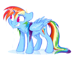 Size: 3300x2742 | Tagged: safe, artist:graystripe64, rainbow dash, pegasus, pony, g4, cute, cutie mark, dashabetes, dripping, female, grin, reflection, simple background, smiling, solo, wet, wet mane, white background, wings
