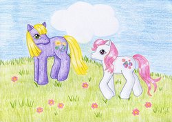 Size: 1024x723 | Tagged: safe, artist:normaleeinsane, daisyjo, strawberry swirl, earth pony, pony, g3, 2014, cloud, duo, duo female, female, flower, grass, mare, raised hoof, sky, standing, traditional art, turned head, walking