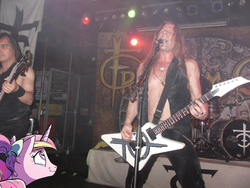 Size: 960x720 | Tagged: safe, idw, princess cadance, g4, freedom call, meme, metal, tears of joy