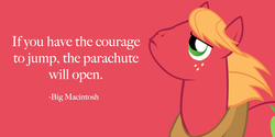 Size: 1000x500 | Tagged: safe, big macintosh, g4, pinkie apple pie, image macro, male, philosophy, solo, text