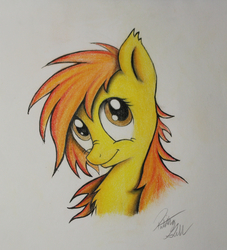 Size: 2175x2394 | Tagged: safe, artist:pajaga, spitfire, g4, female, solo, traditional art