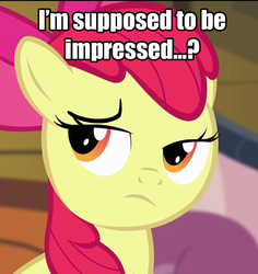 Size: 967x1024 | Tagged: safe, apple bloom, g4, female, image macro, skeptical applebloom, solo