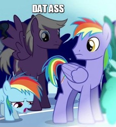 Size: 355x387 | Tagged: safe, edit, edited screencap, screencap, buddy, rainbow blaze, rainbow dash, silver script, spring melody, sprinkle medley, time flies, pegasus, pony, g4, games ponies play, background pony, caption, cropped, dat ass, female, filly, filly rainbow dash, gay, male, meme, out of context, spread wings, stallion, stare, wingboner, wings, younger