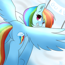 Size: 600x600 | Tagged: safe, artist:ranban, rainbow dash, g4, butt, female, finish line, looking at you, looking back, pixiv, plot, solo